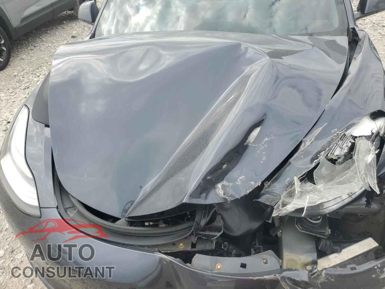TESLA MODEL 3 2021 - 5YJ3E1EC8MF856256