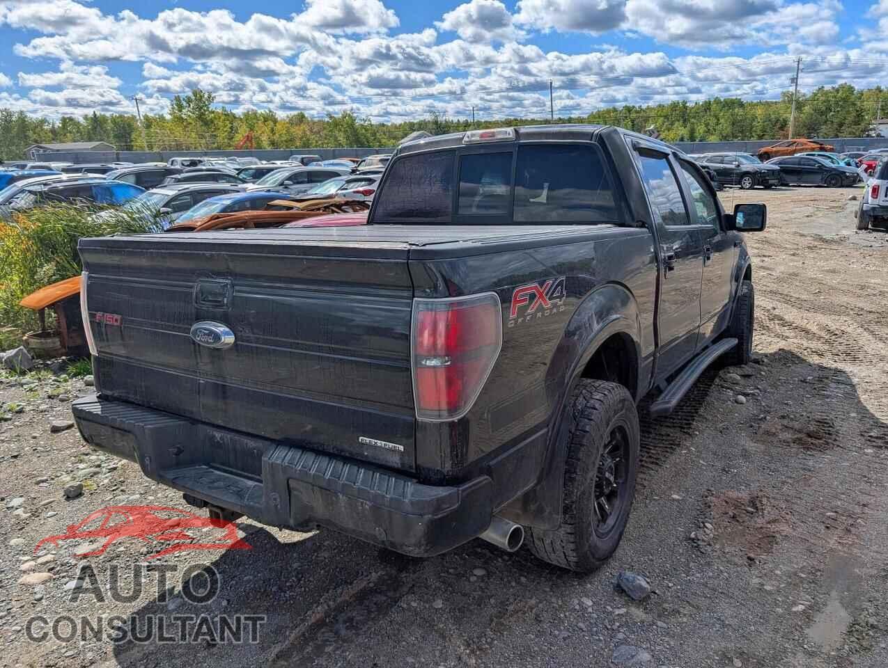 FORD F150 2013 - 1FTFW1EF3DFD20315
