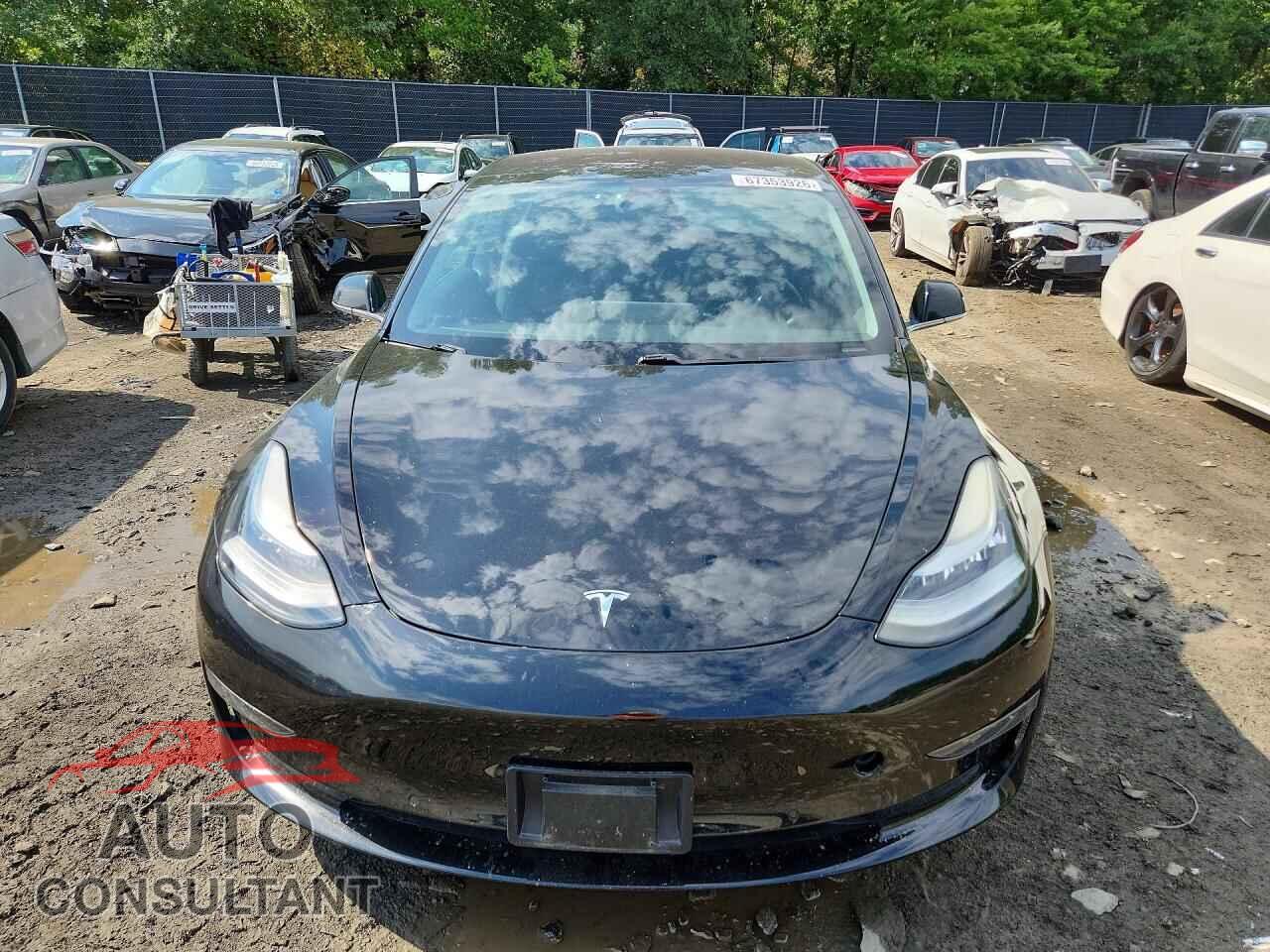 TESLA MODEL 3 2019 - 5YJ3E1EB8KF237502