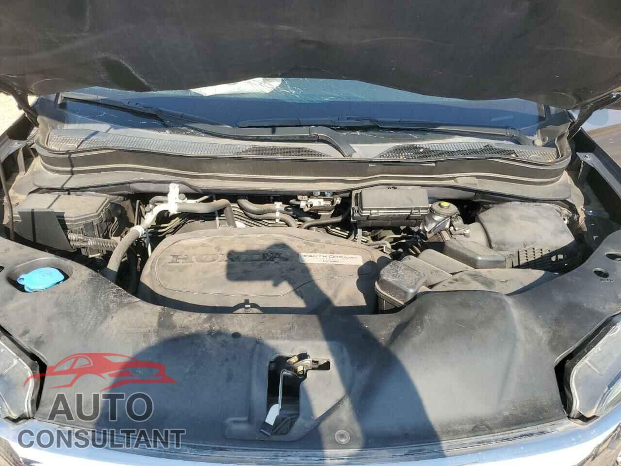 HONDA RIDGELINE 2019 - 5FPYK2F67KB007334