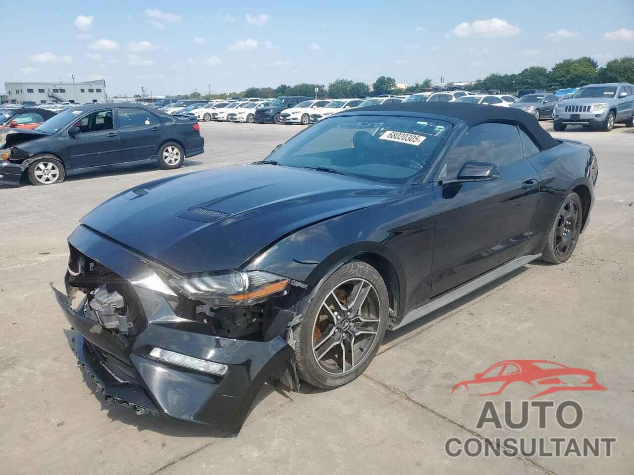 FORD ALL OTHER 2019 - 1FATP8UH6K5161598