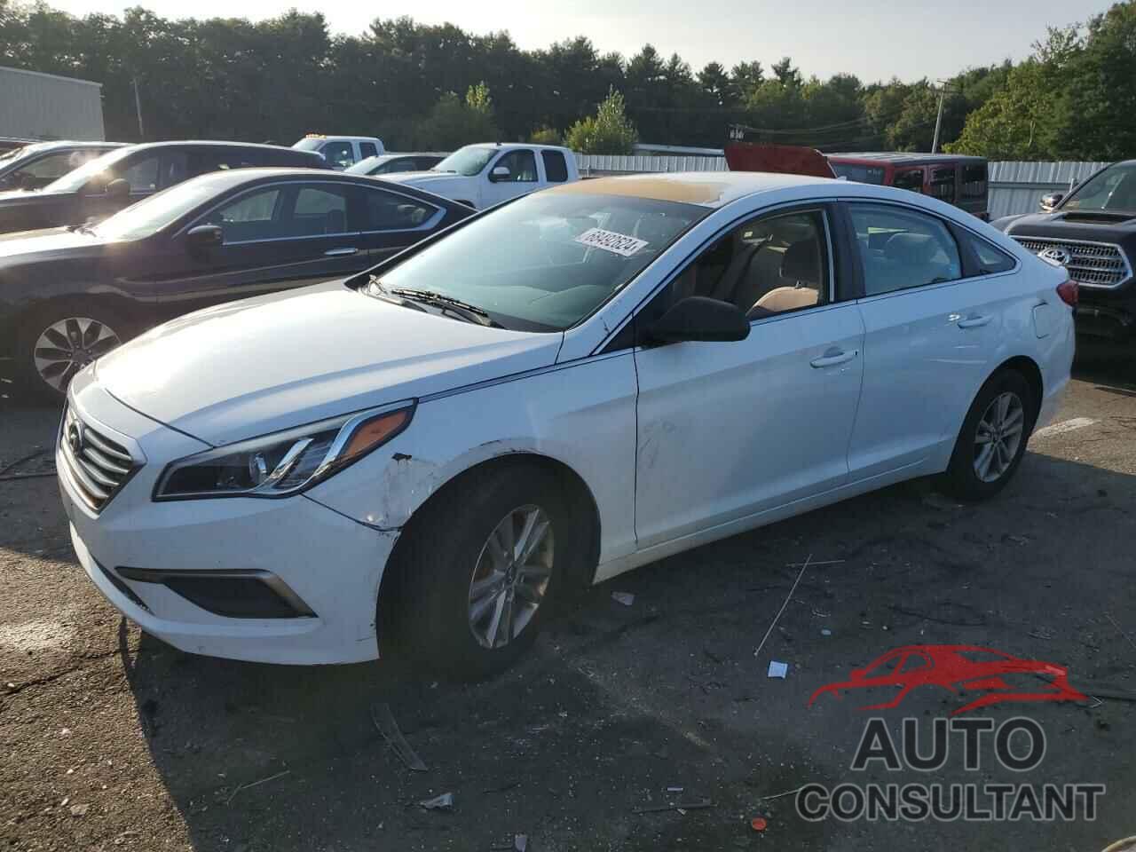 HYUNDAI SONATA 2016 - 5NPE24AF2GH263419