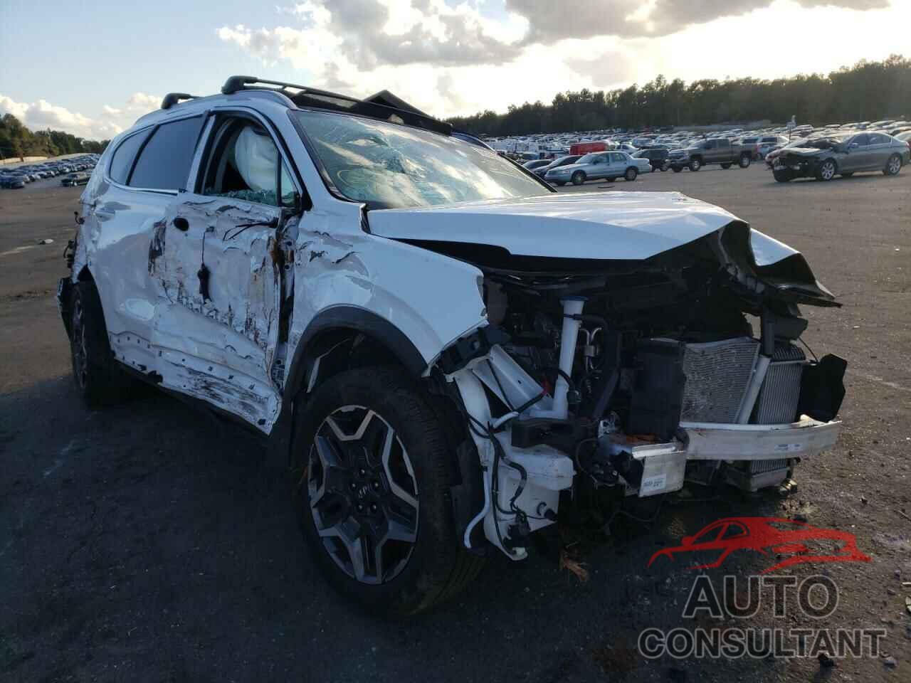 HYUNDAI SANTA FE 2022 - 5NMS44AL0NH376458