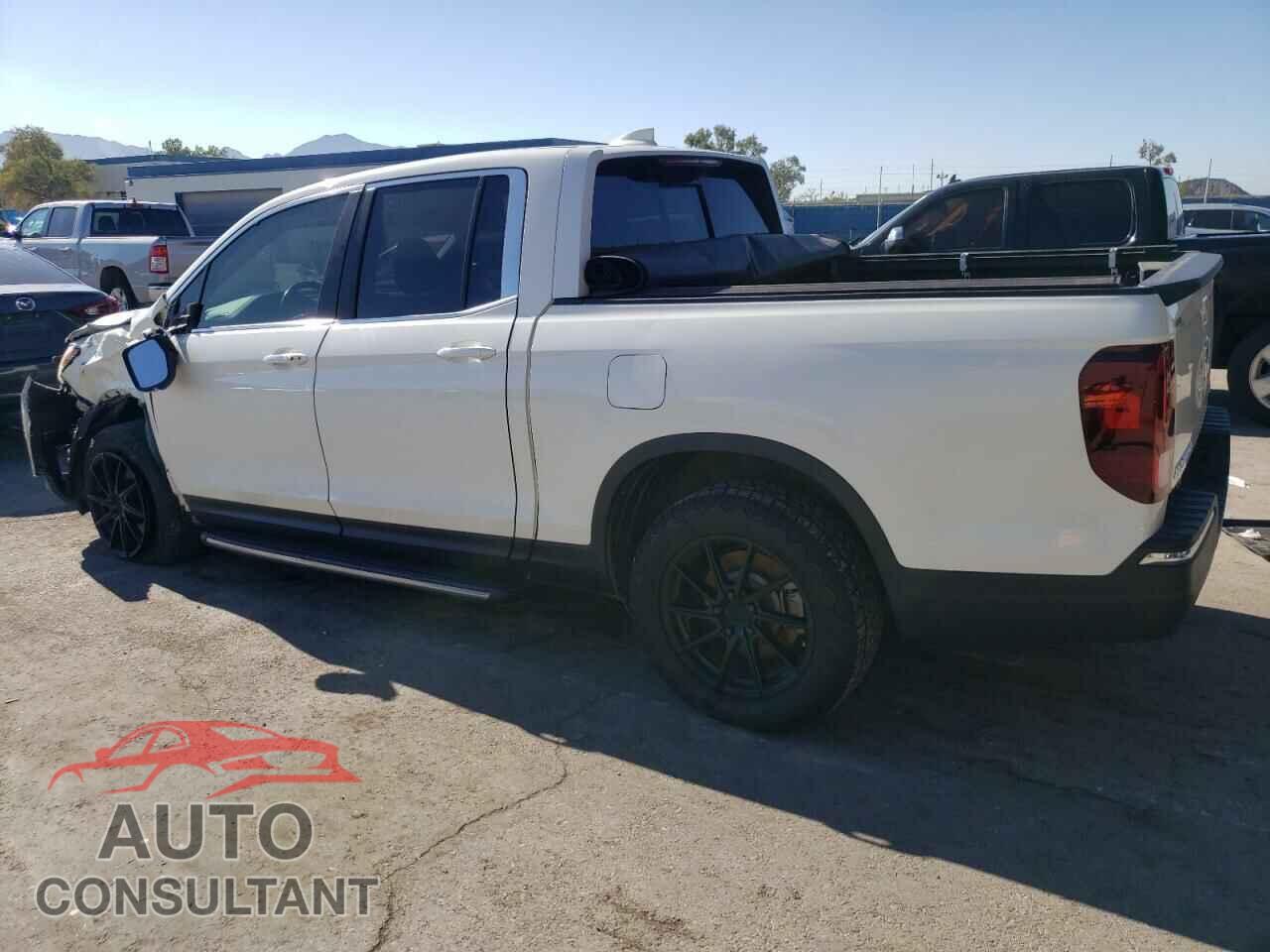 HONDA RIDGELINE 2019 - 5FPYK3F61KB030551