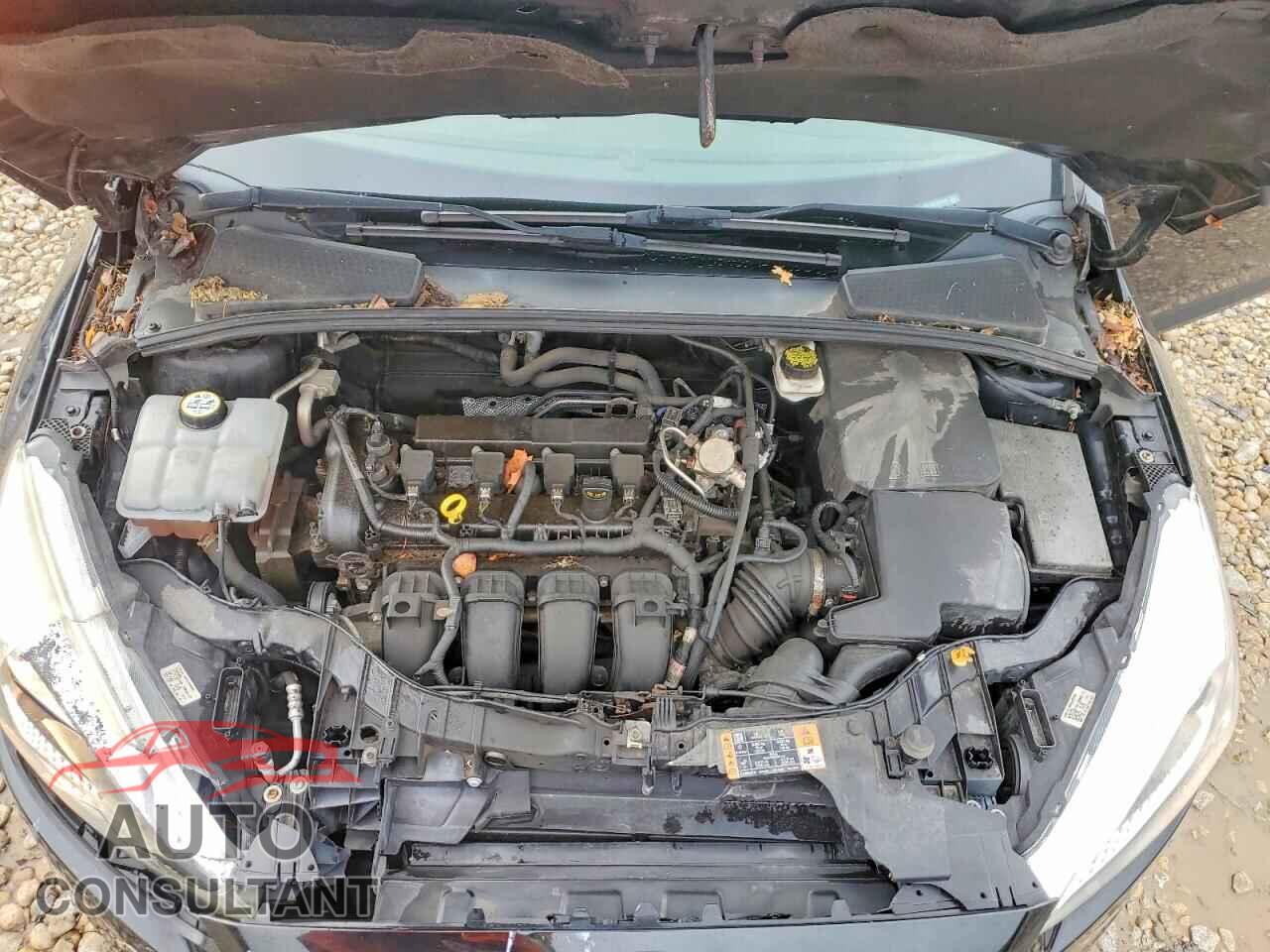 FORD FOCUS 2017 - 1FADP3F29HL339105