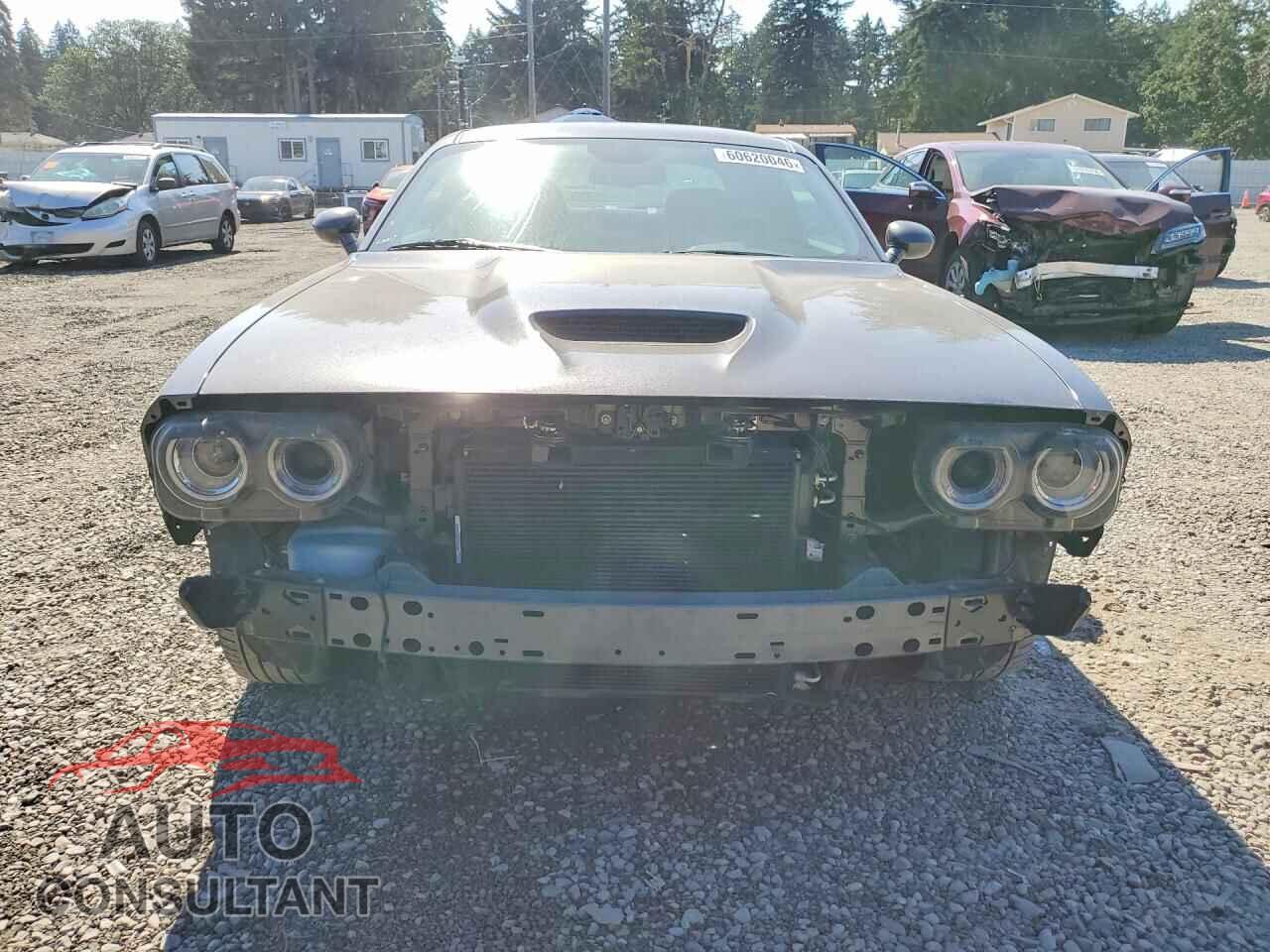 DODGE CHALLENGER 2019 - 2C3CDZBT7KH666532