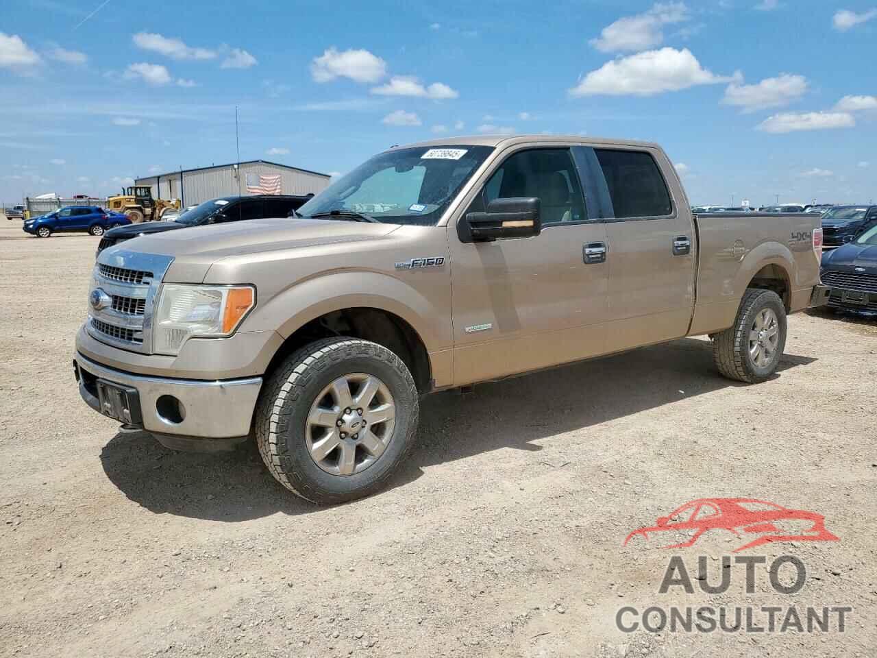 FORD F-150 2013 - 1FTFW1ET4DKF36896