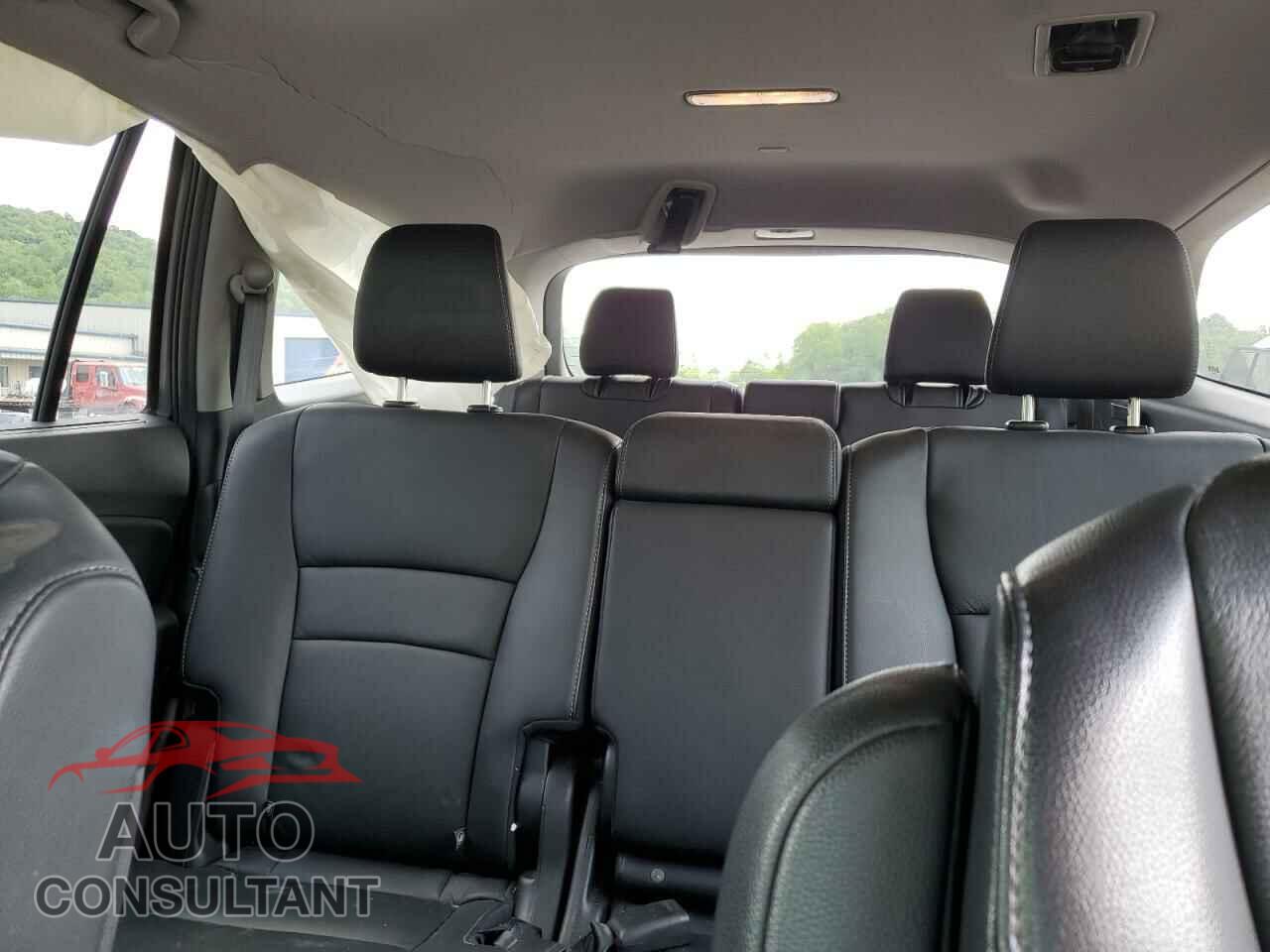 HONDA PILOT 2019 - 5FNYF6H59KB084442