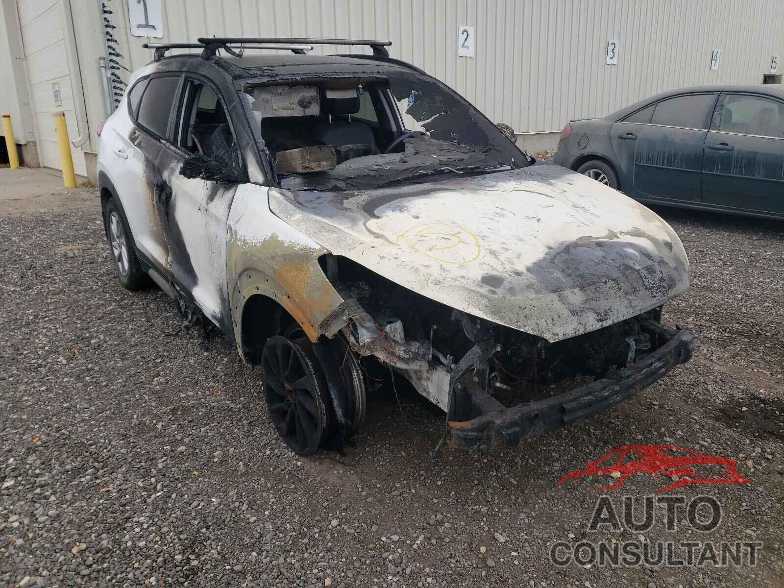 HYUNDAI TUCSON 2017 - KM8J3CA4XHU549140