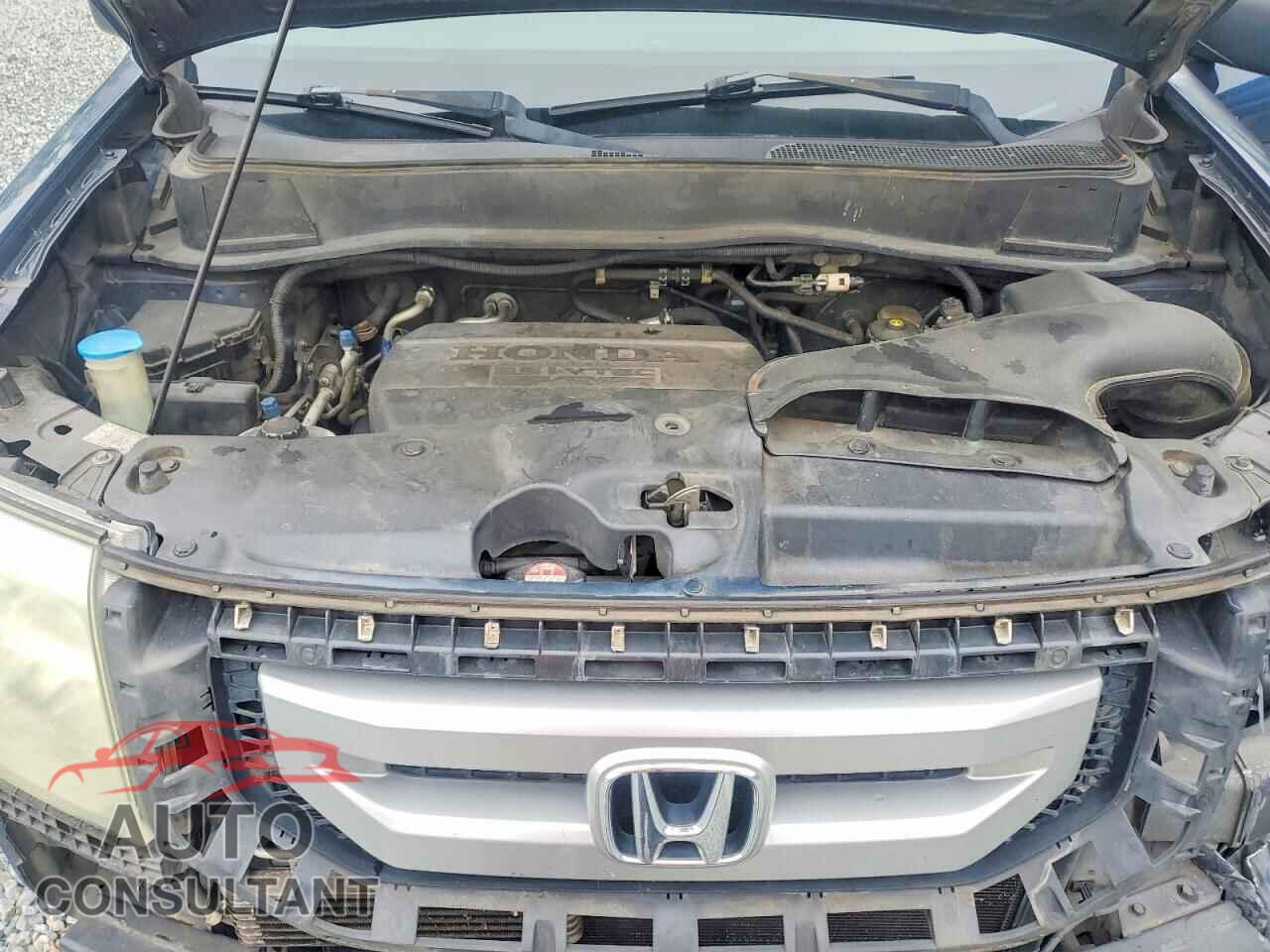 HONDA PILOT 2011 - 5FNYF3H22BB036995