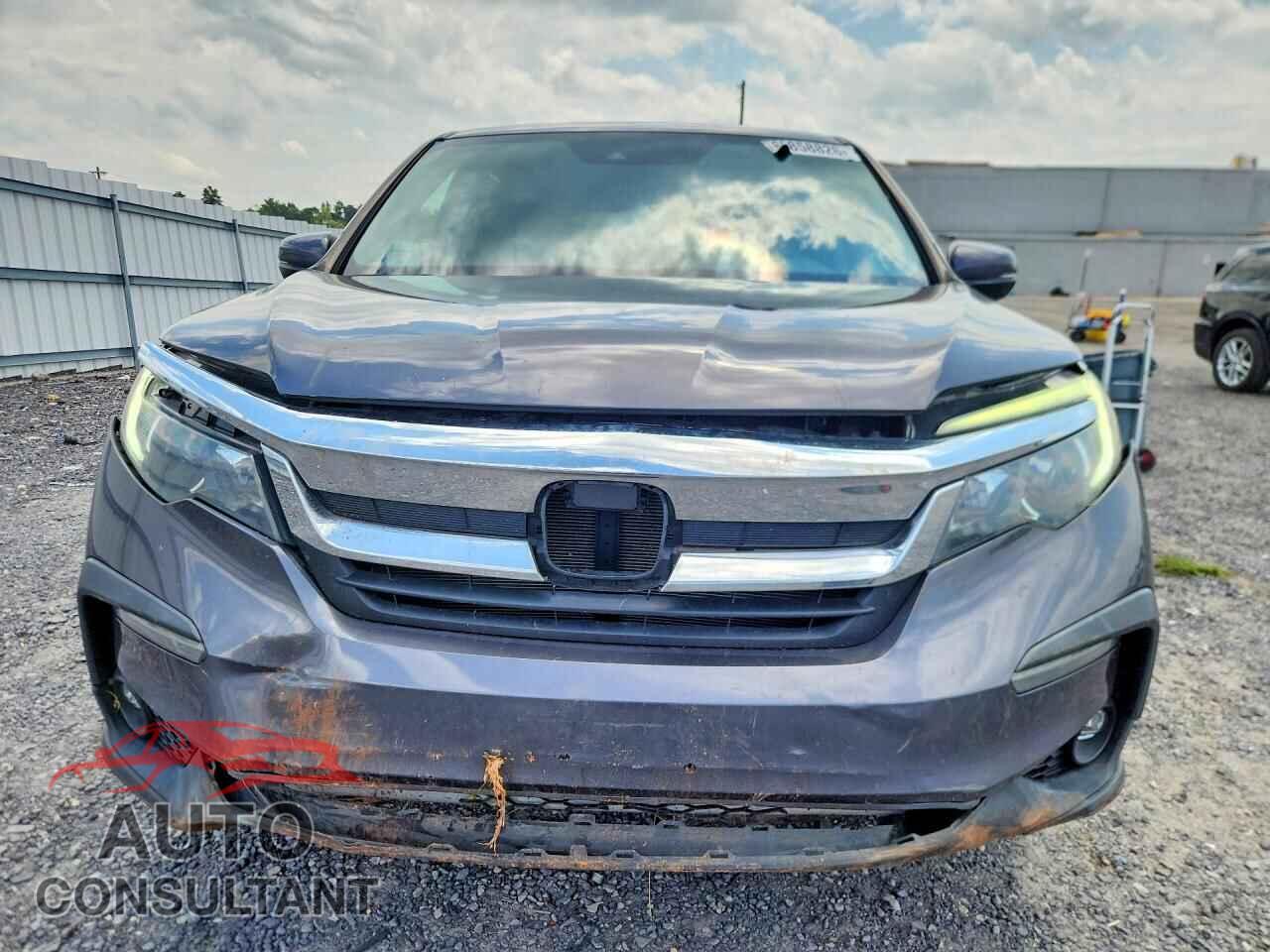 HONDA PILOT 2019 - 5FNYF5H55KB007836
