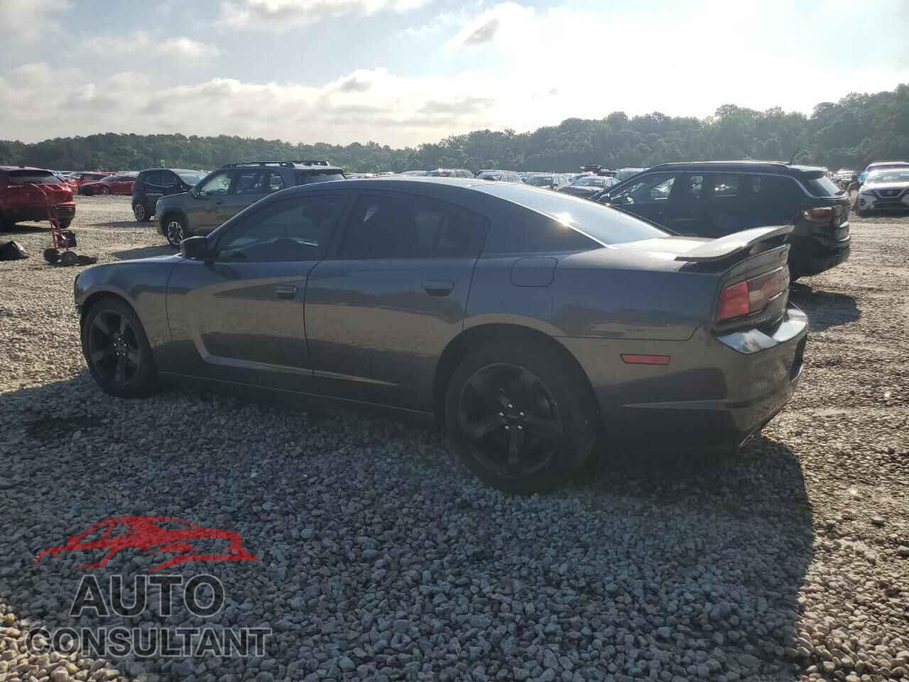 DODGE CHARGER 2014 - 2C3CDXHG0EH277668