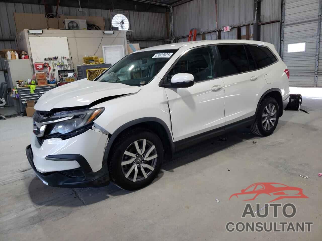 HONDA PILOT 2019 - 5FNYF5H31KB018251