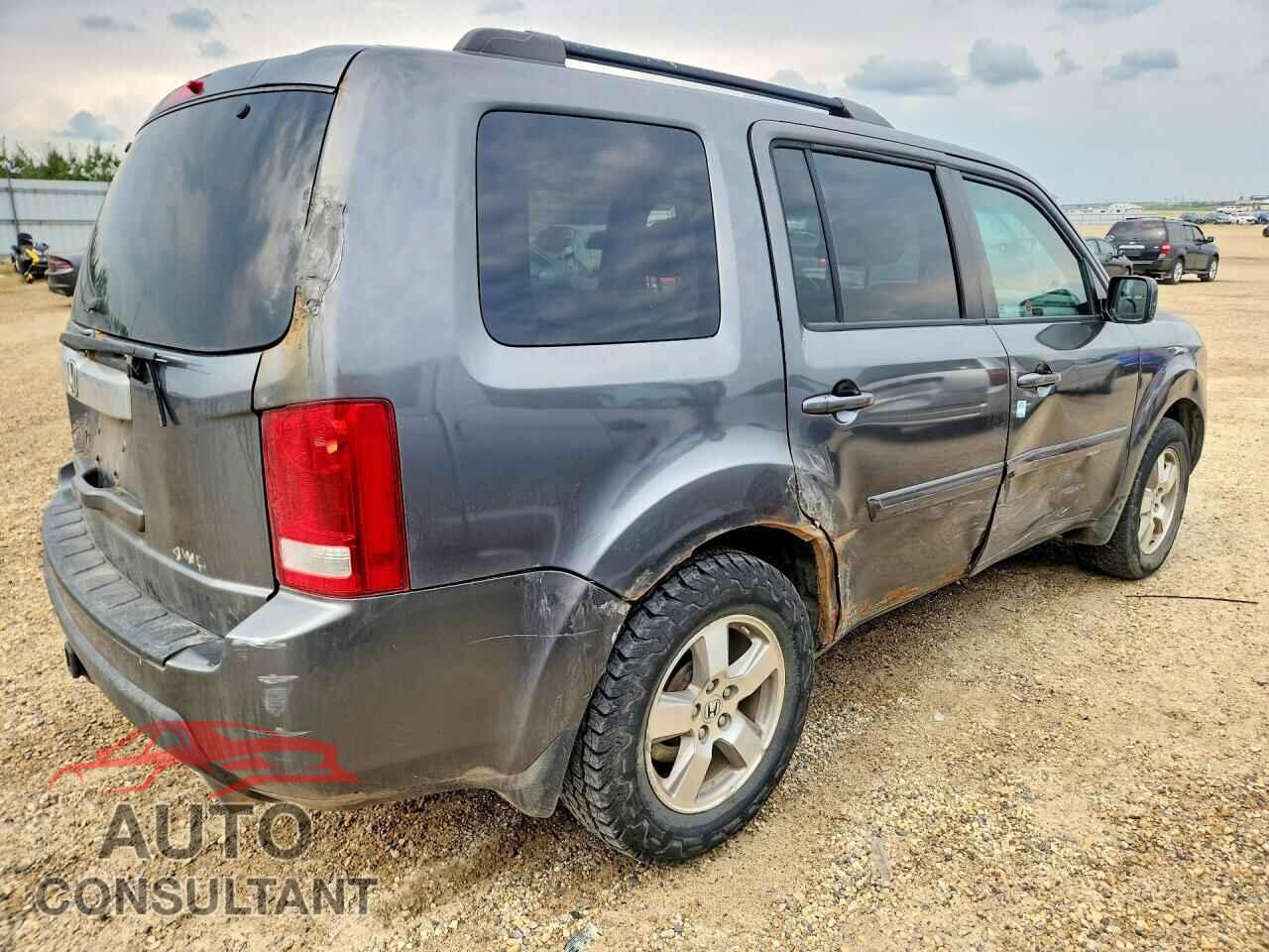 HONDA PILOT 2010 - 5FNYF4H46AB502398