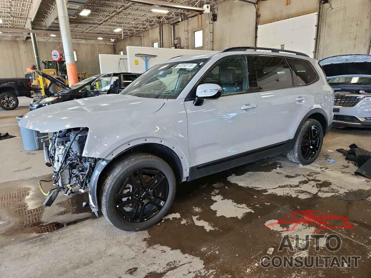 KIA TELLURIDE 2024 - 5XYP5DGC5RG508656