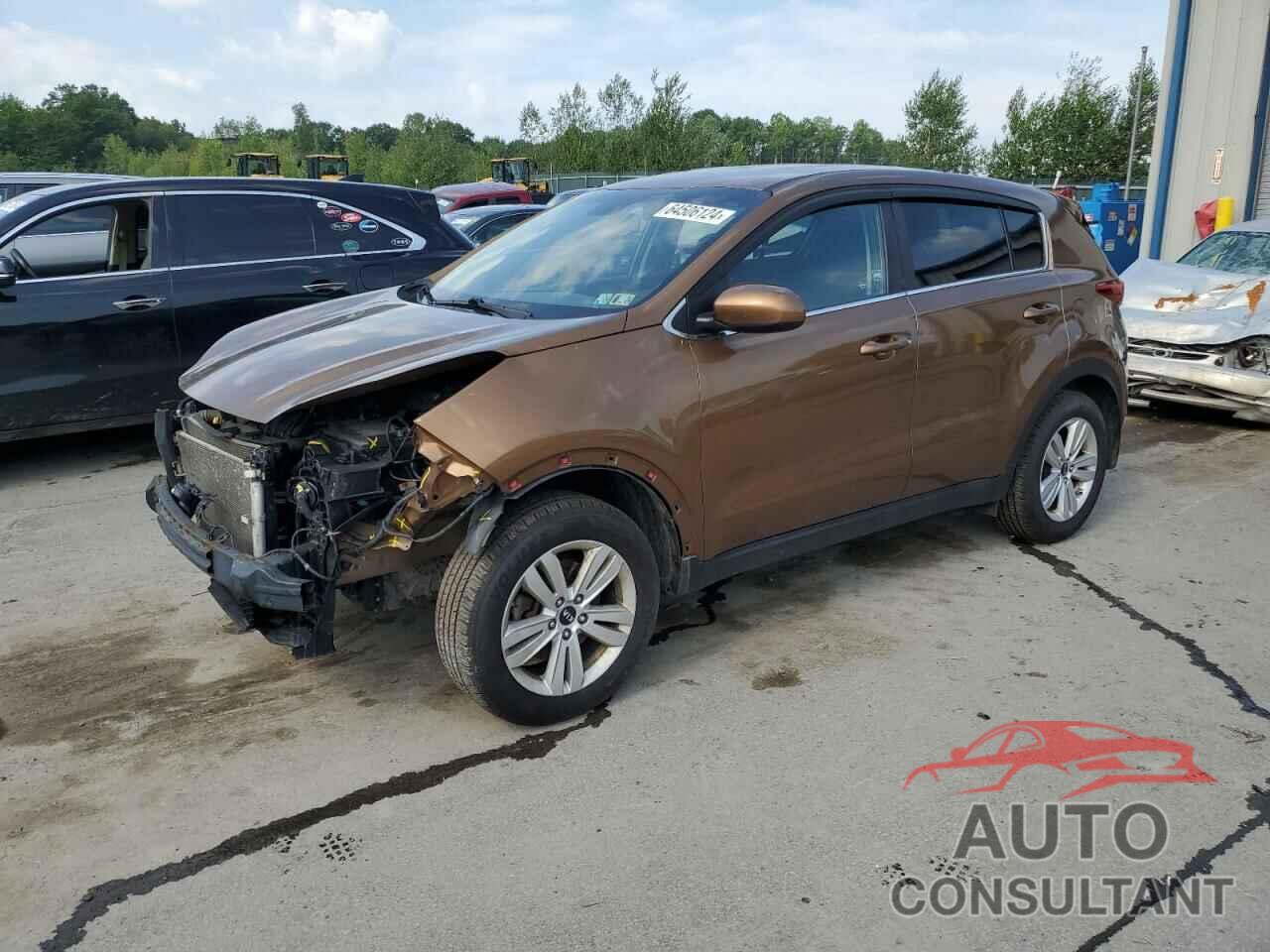 KIA SPORTAGE 2017 - KNDPM3AC6H7172498