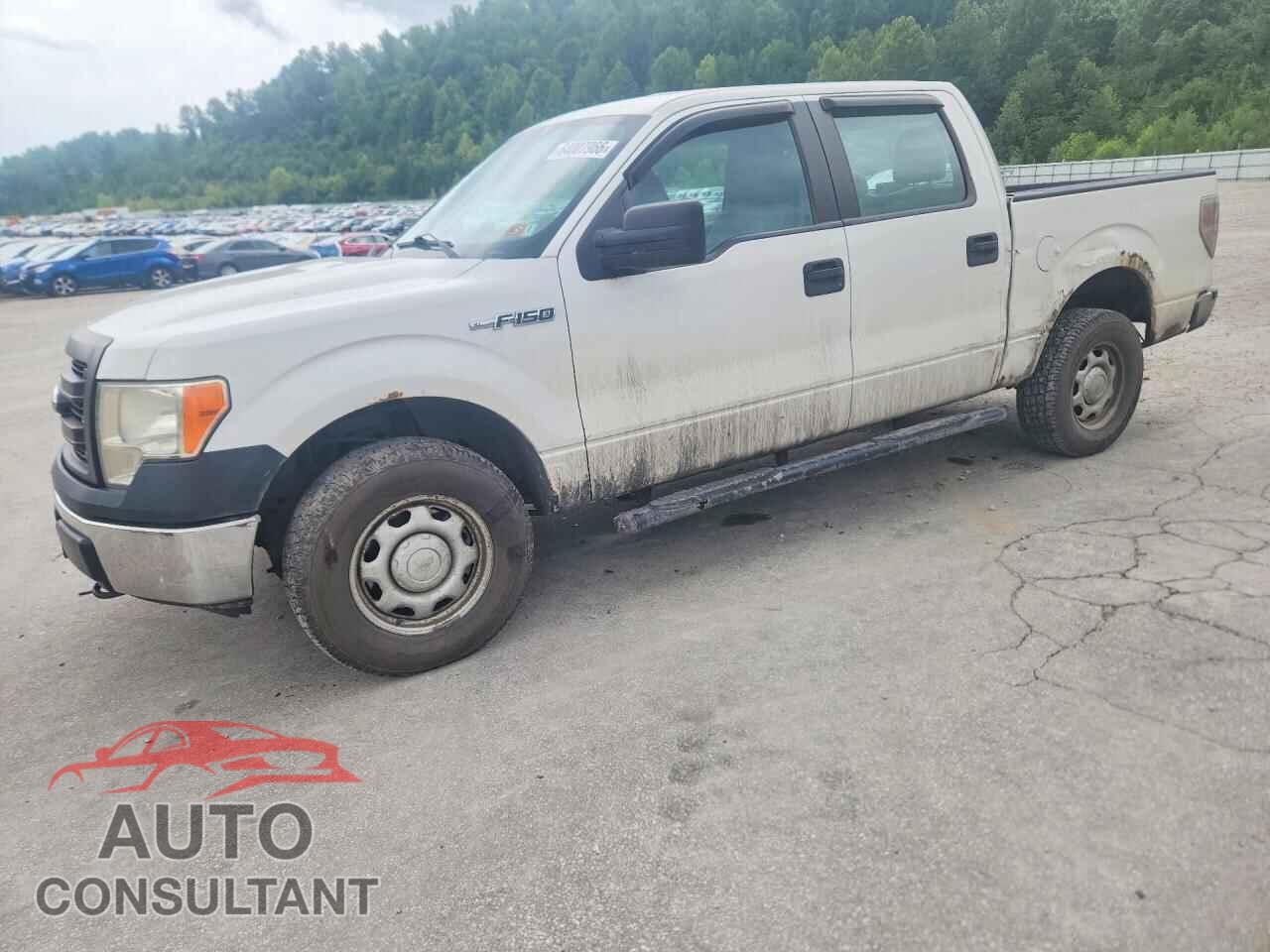 FORD F150 2013 - 1FTFW1EF3DFC86599
