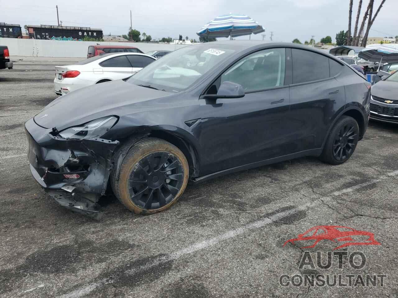 TESLA MODEL Y 2024 - 7SAYGDEE4RF079216