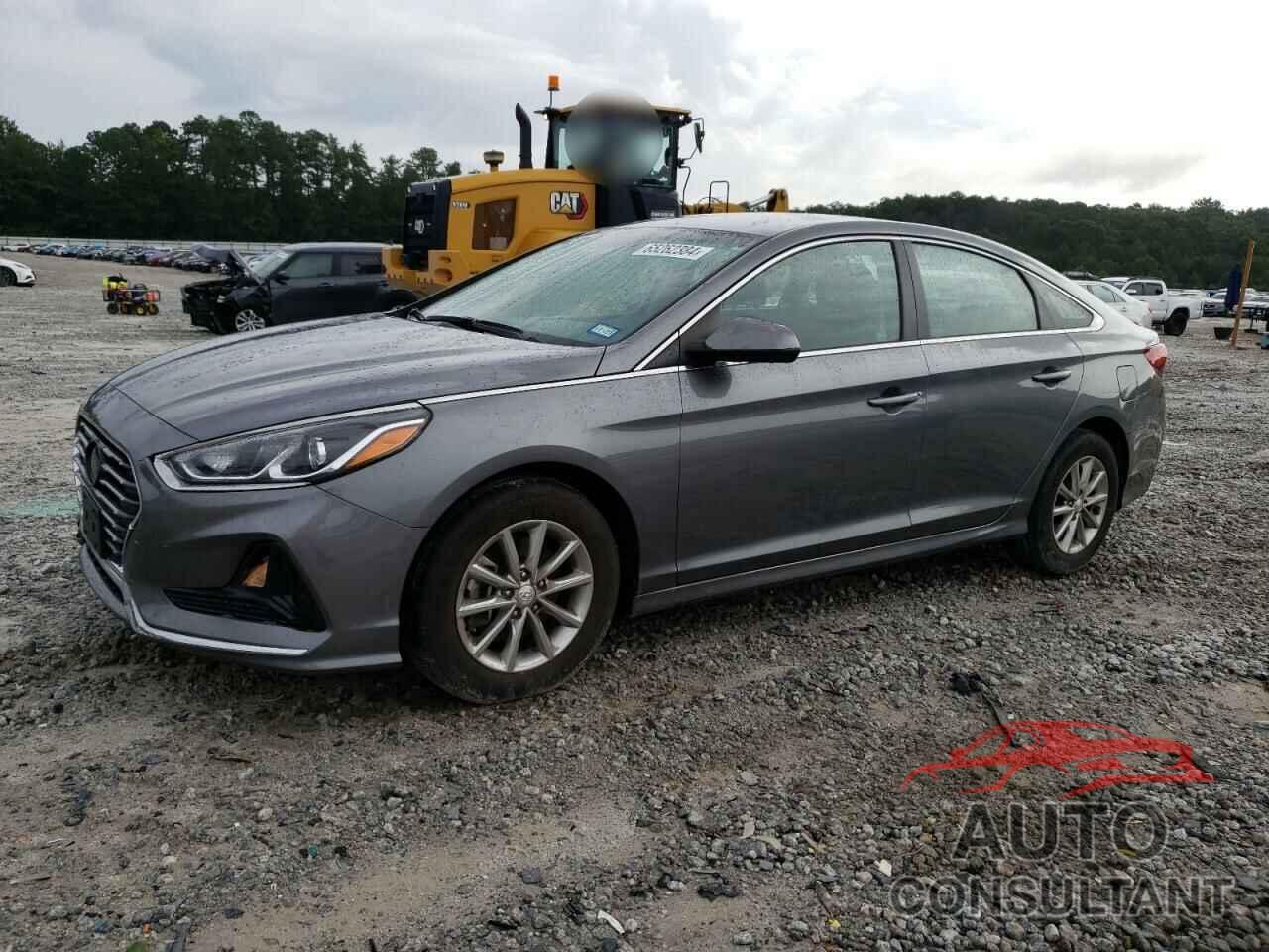 HYUNDAI SONATA 2019 - 5NPE24AF7KH731623