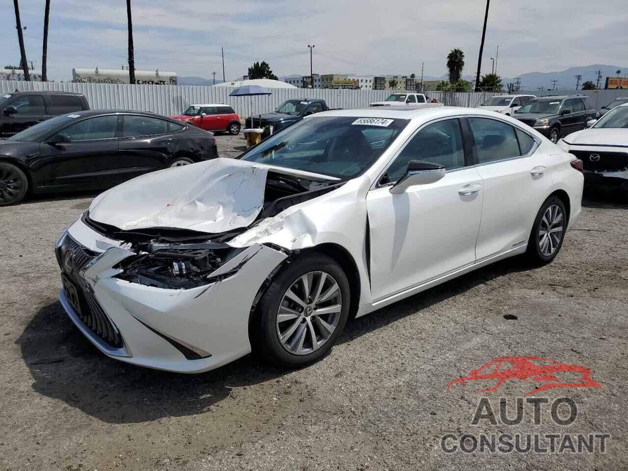 LEXUS ES300 2020 - 58AC21B13LU008503