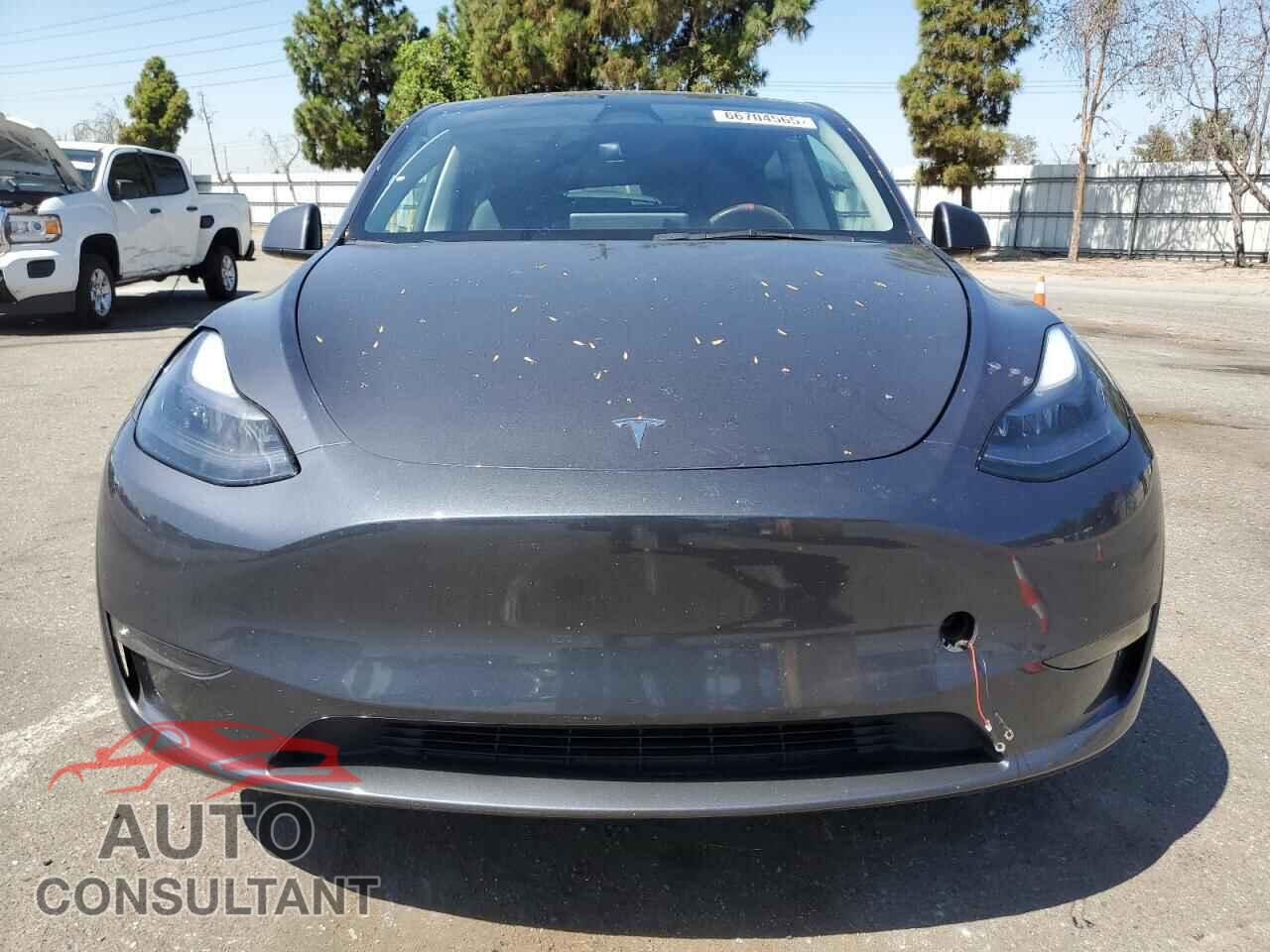 TESLA MODEL Y 2023 - 7SAYGDEE4PF856703