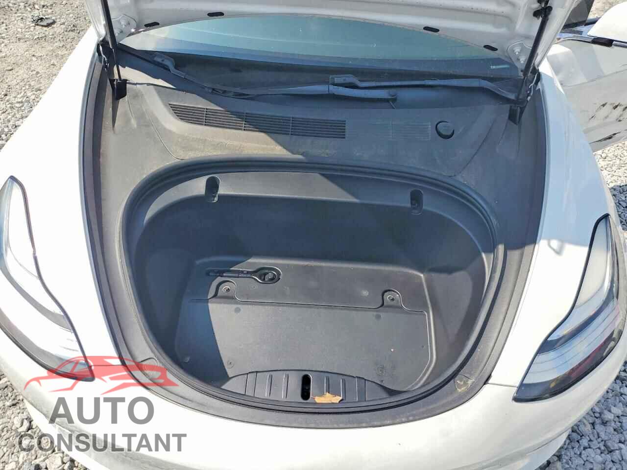 TESLA MODEL 3 2020 - 5YJ3E1EA6LF738042