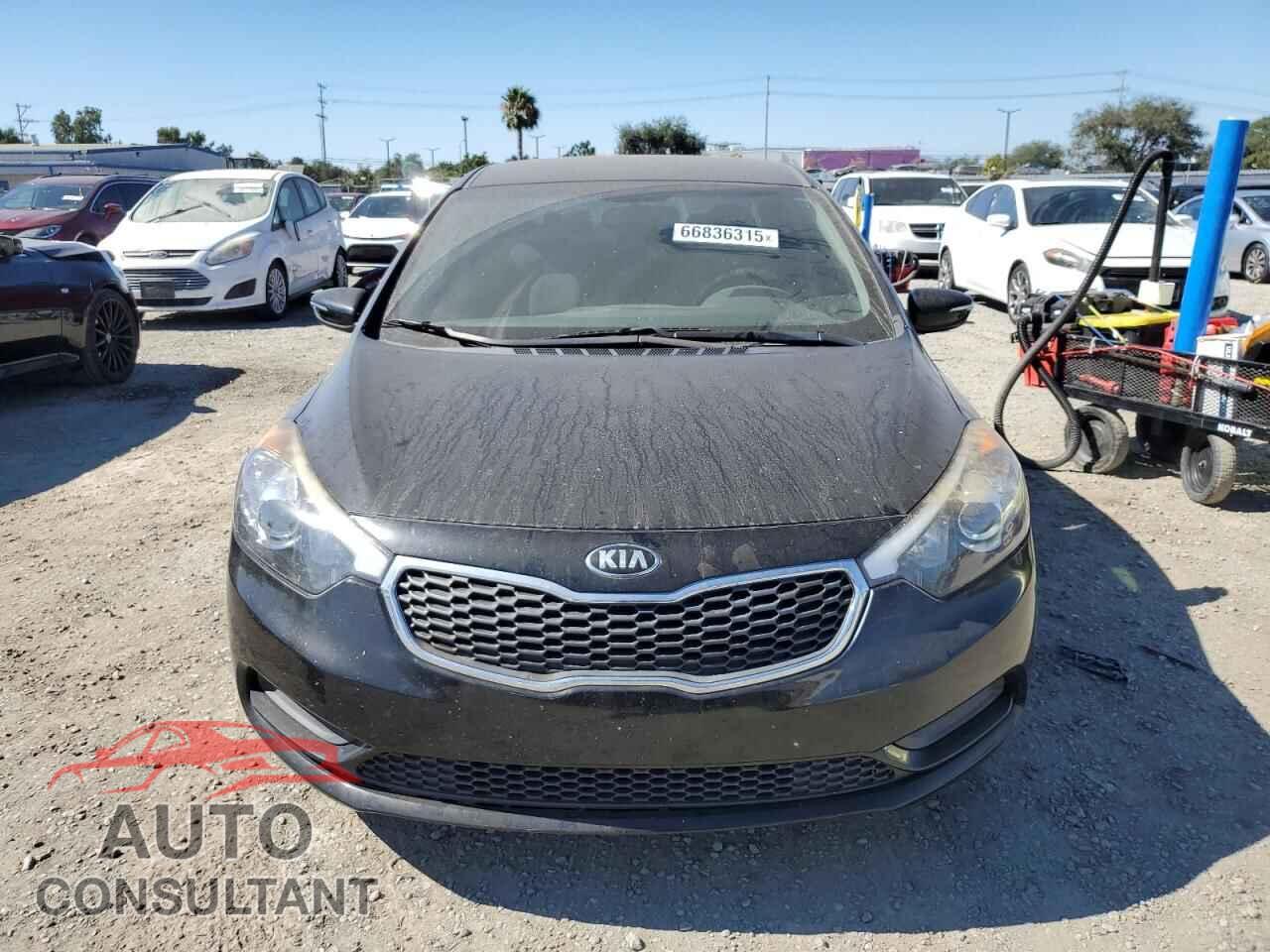 KIA FORTE 2016 - KNAFX4A67G5551455