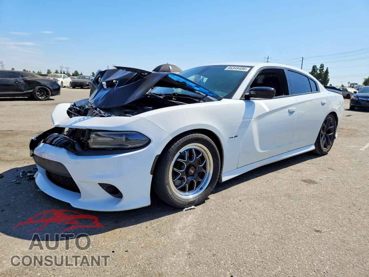 DODGE CHARGER 2019 - 2C3CDXCT1KH550066