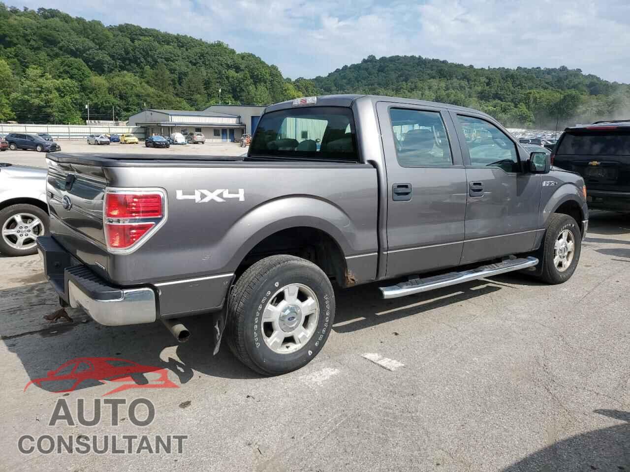 FORD F-150 2013 - 1FTFW1EF1DFD66029