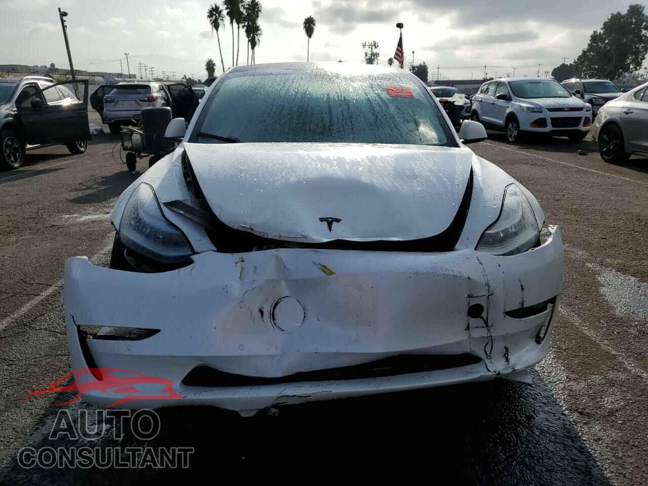 TESLA MODEL 3 2020 - 5YJ3E1EA0LF799564