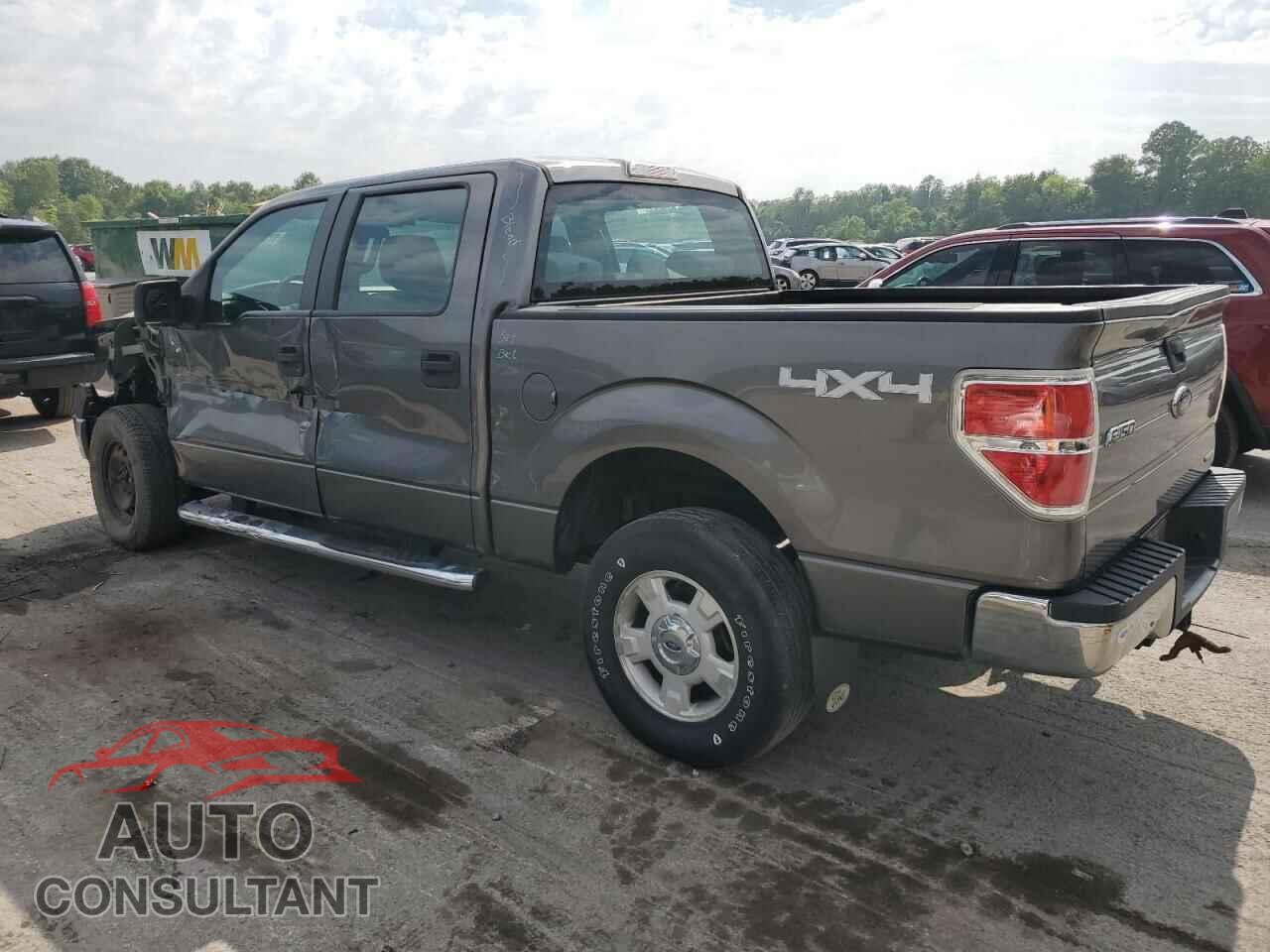 FORD F-150 2013 - 1FTFW1EF1DFD66029
