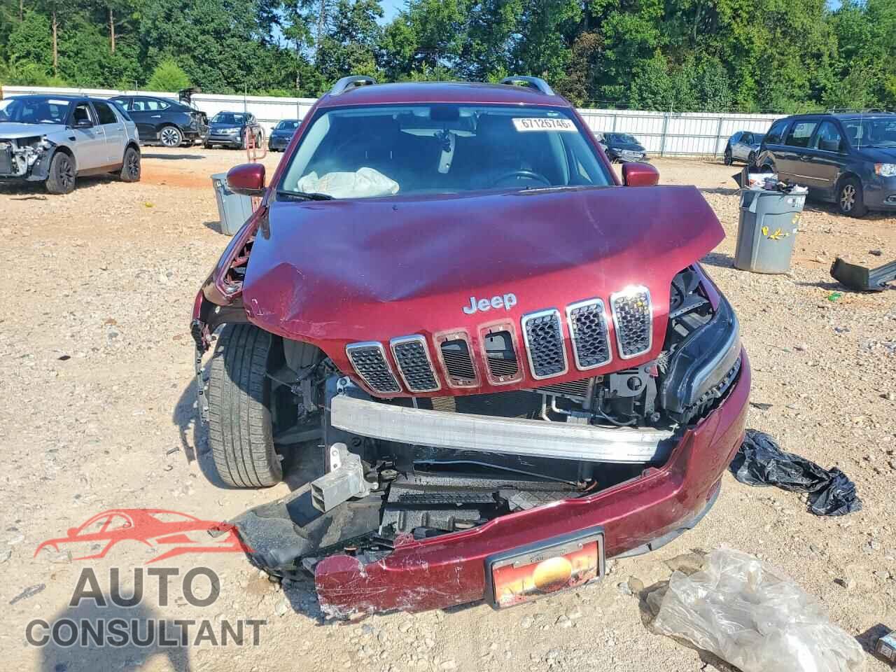 JEEP CHEROKEE 2019 - 1C4PJLDB1KD154088