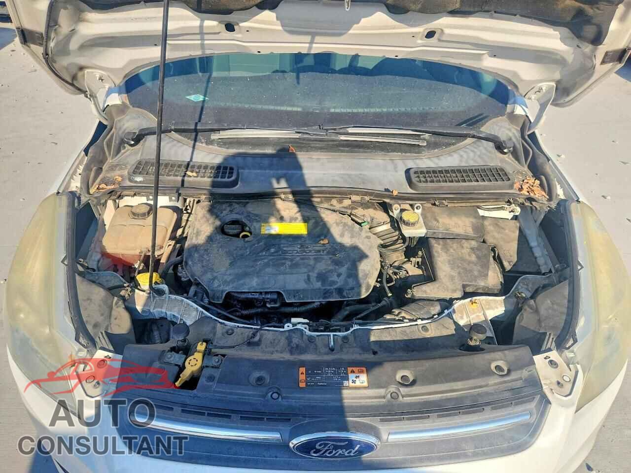 FORD ESCAPE 2016 - 1FMCU0GX6GUA65986