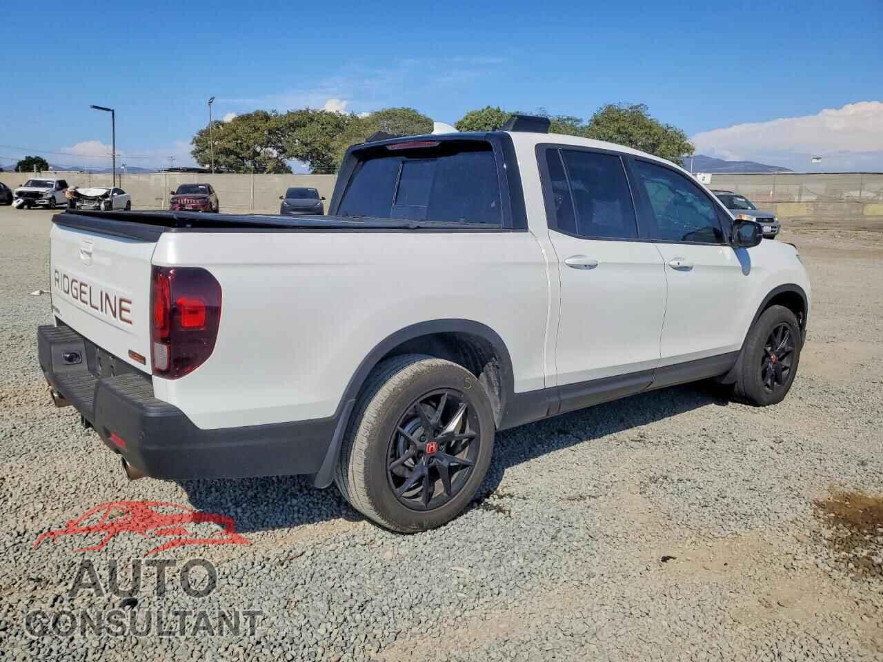 HONDA RIDGELINE 2024 - 5FPYK3F60RB014416