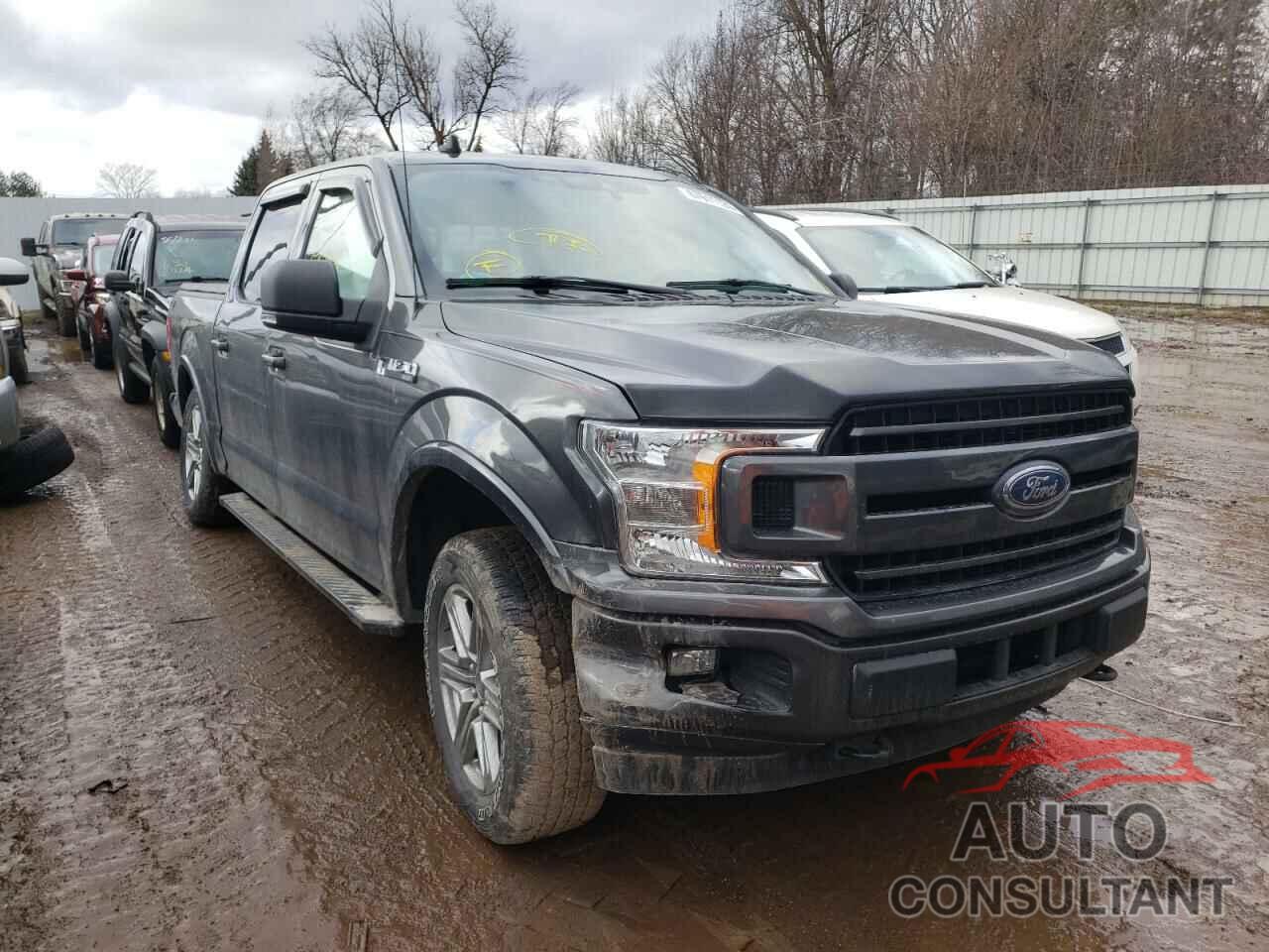 FORD F-150 2019 - 1FTEW1EP0KFA86202