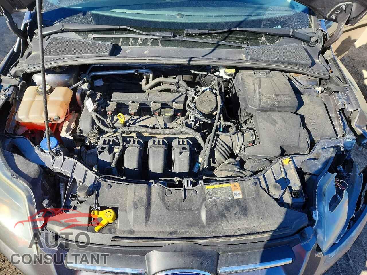 FORD FOCUS 2013 - 1FADP3F20DL154113
