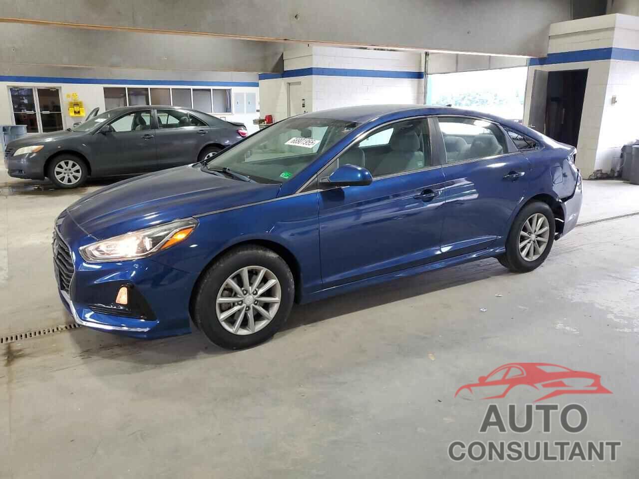 HYUNDAI SONATA 2019 - 5NPE24AF7KH789957