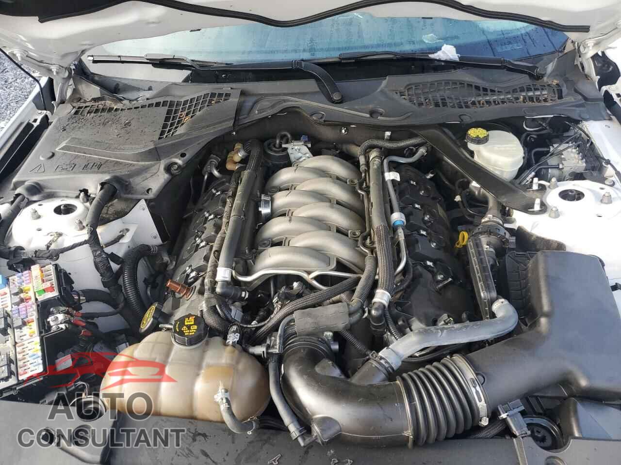 FORD MUSTANG 2017 - 1FA6P8CF4H5311987