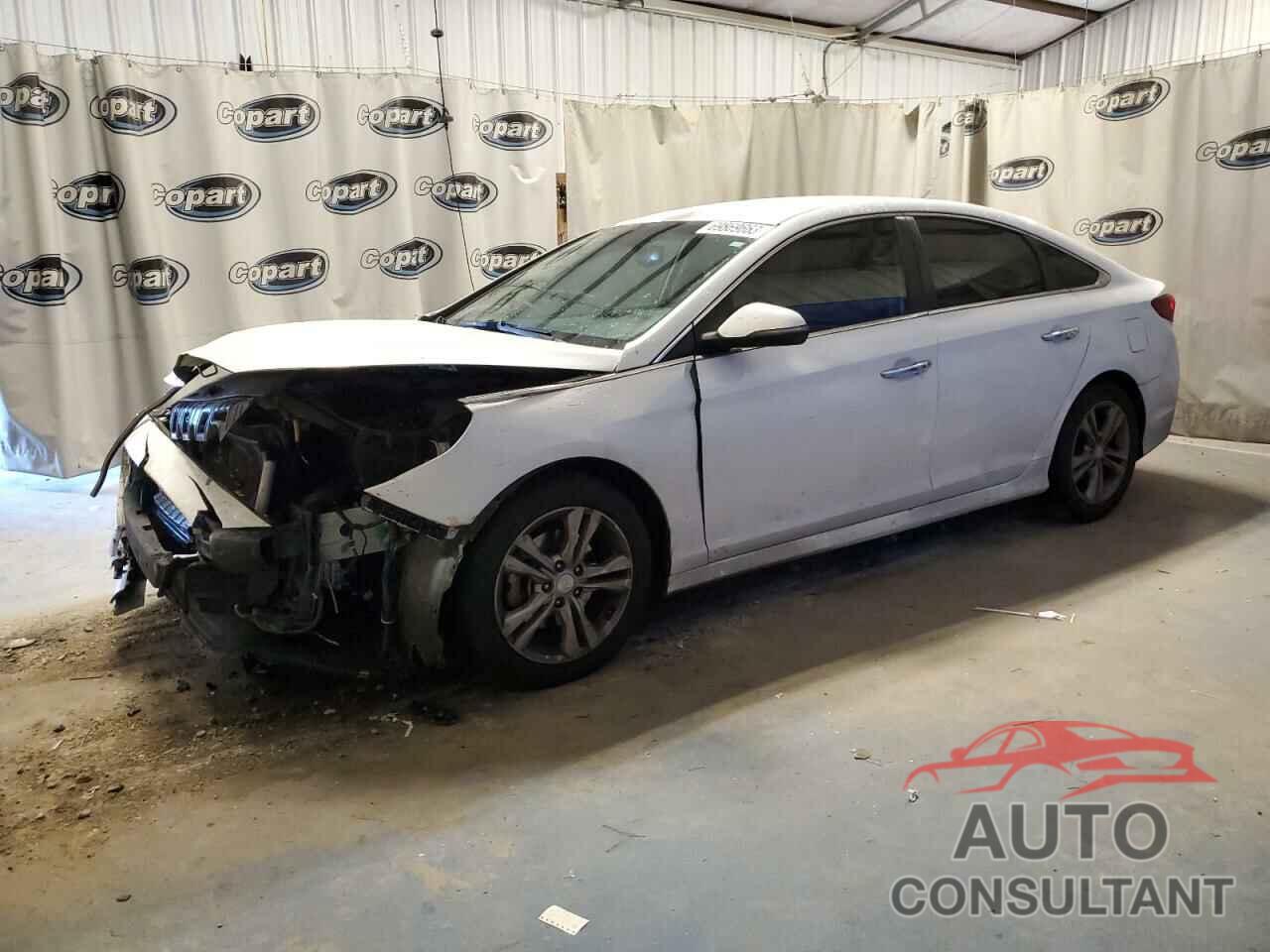HYUNDAI SONATA 2018 - 5NPE34AF4JH676205