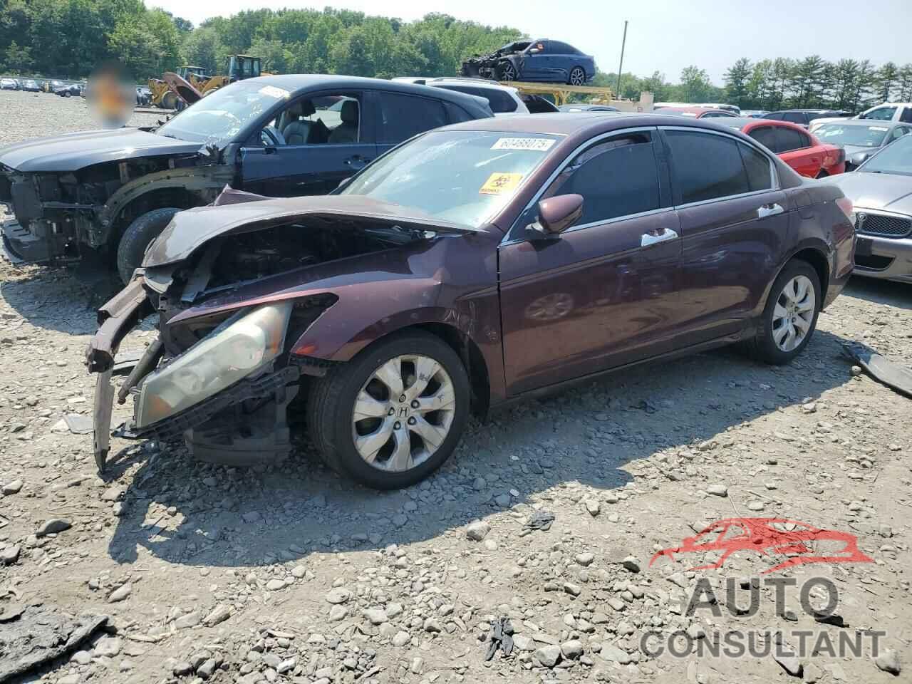 HONDA ACCORD 2010 - 5KBCP3F86AB007787