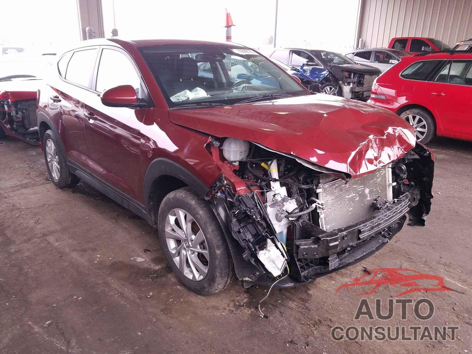 HYUNDAI TUCSON 2019 - KM8J23A49KU844384