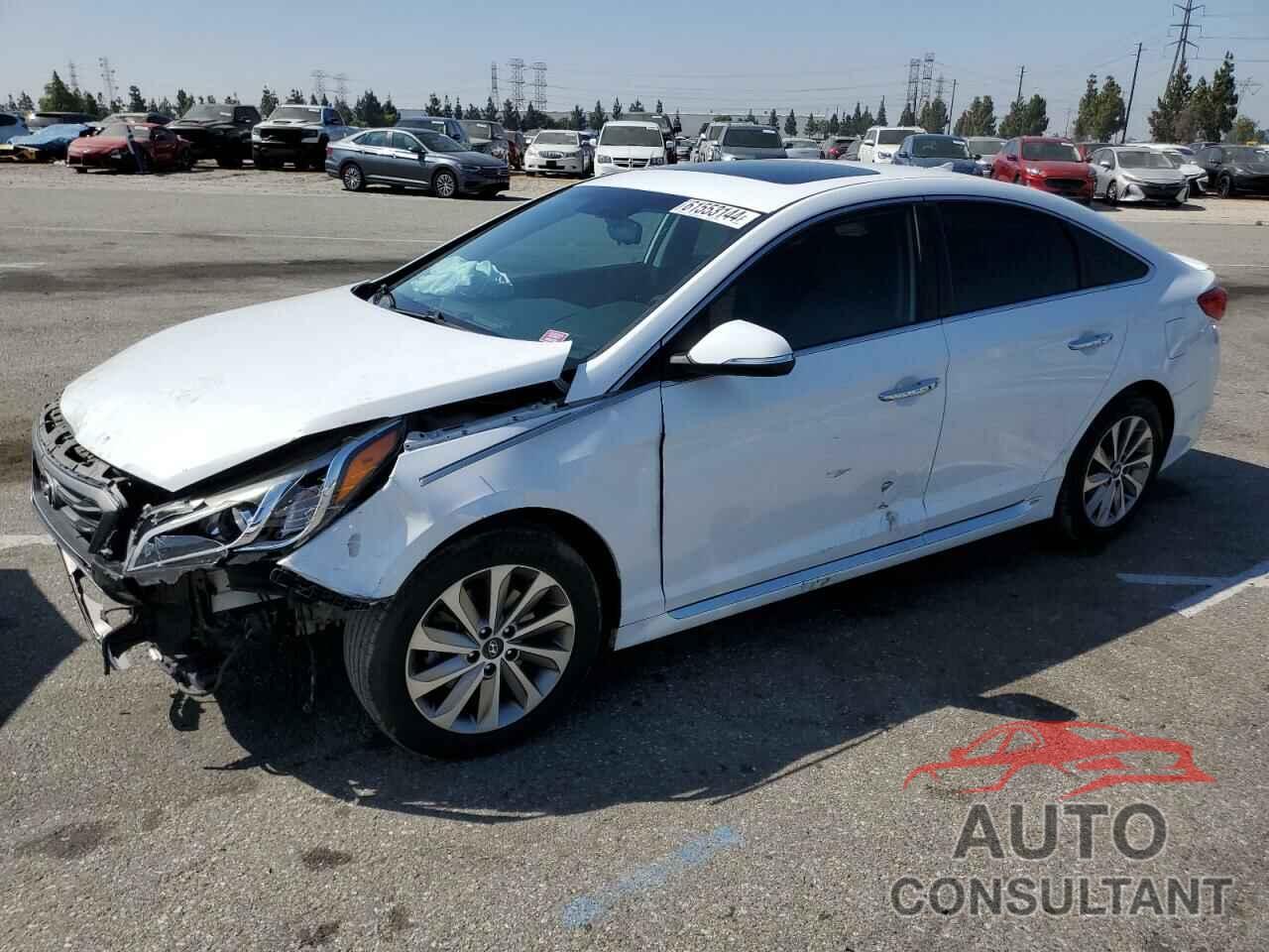 HYUNDAI SONATA 2016 - 5NPE34AF6GH414792