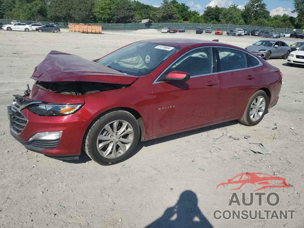 CHEVROLET MALIBU 2019 - 1G1ZD5ST7KF120063