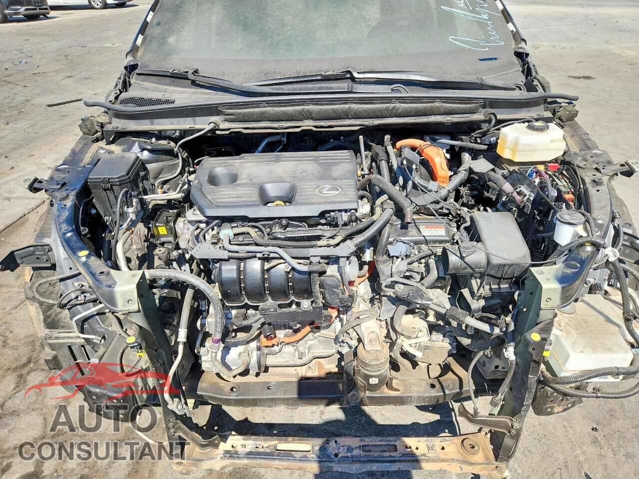 LEXUS UNKNOWN 2025 - 2T2BBMCA8SC076102