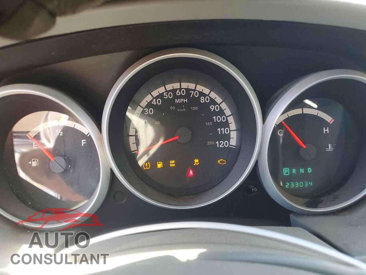 DODGE CARAVAN 2010 - 2D4RN4DE2AR318525