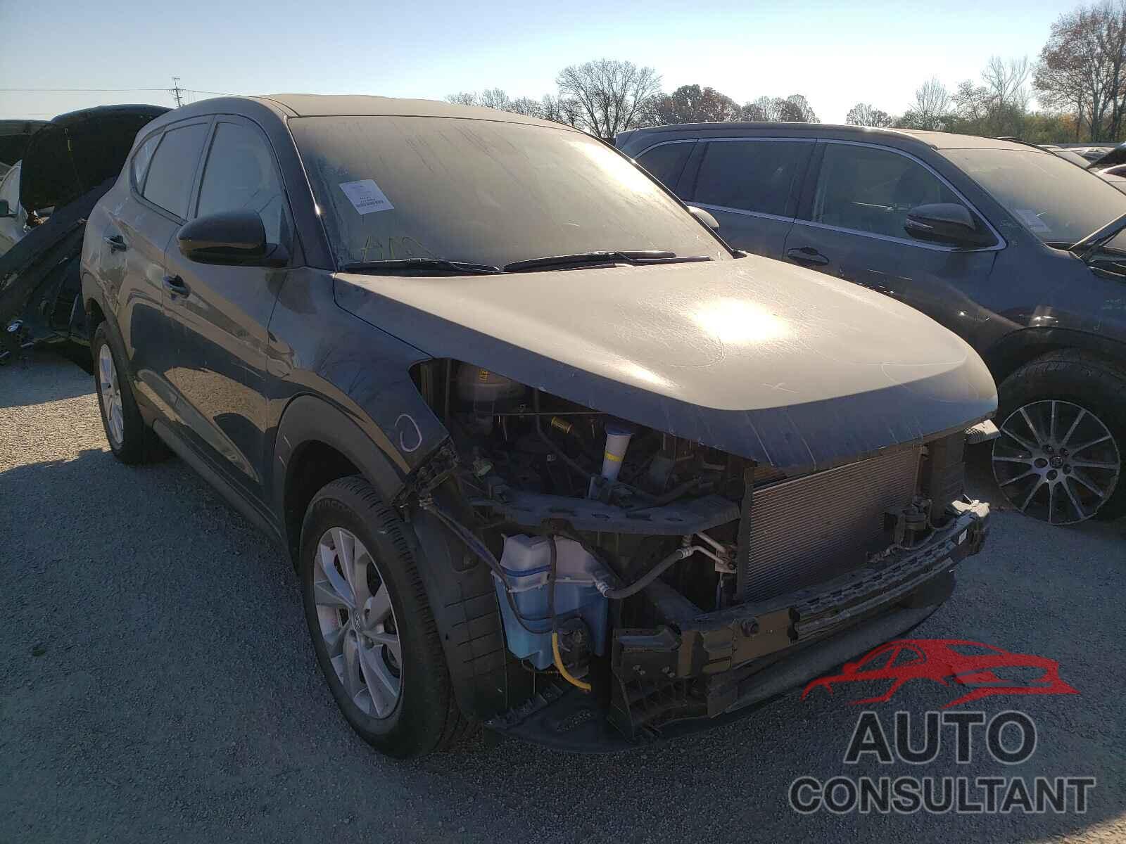 HYUNDAI TUCSON 2019 - KM8J23A45KU944420