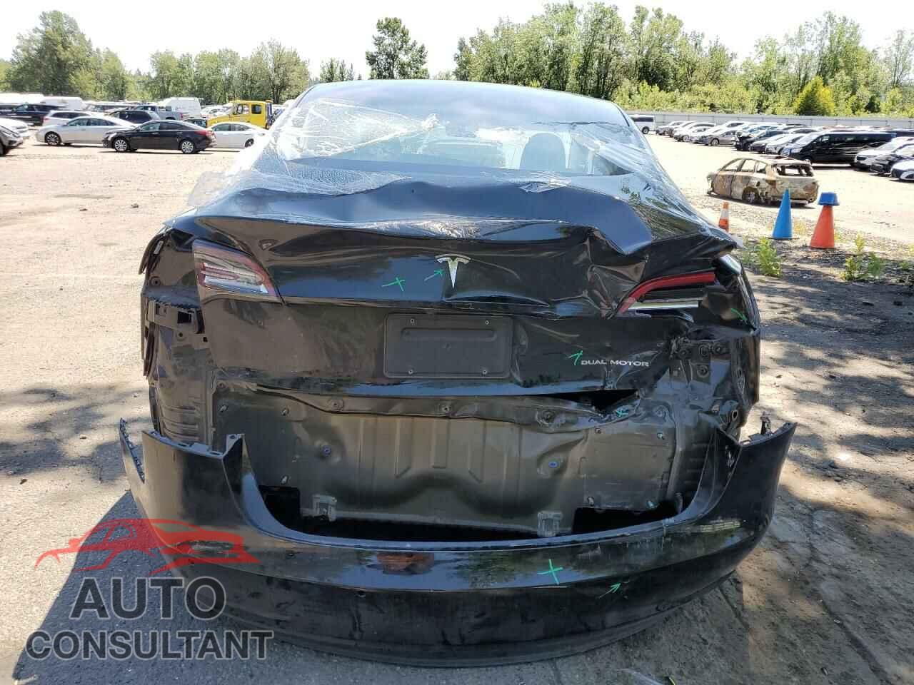 TESLA MODEL 3 2019 - 5YJ3E1EB3KF391373