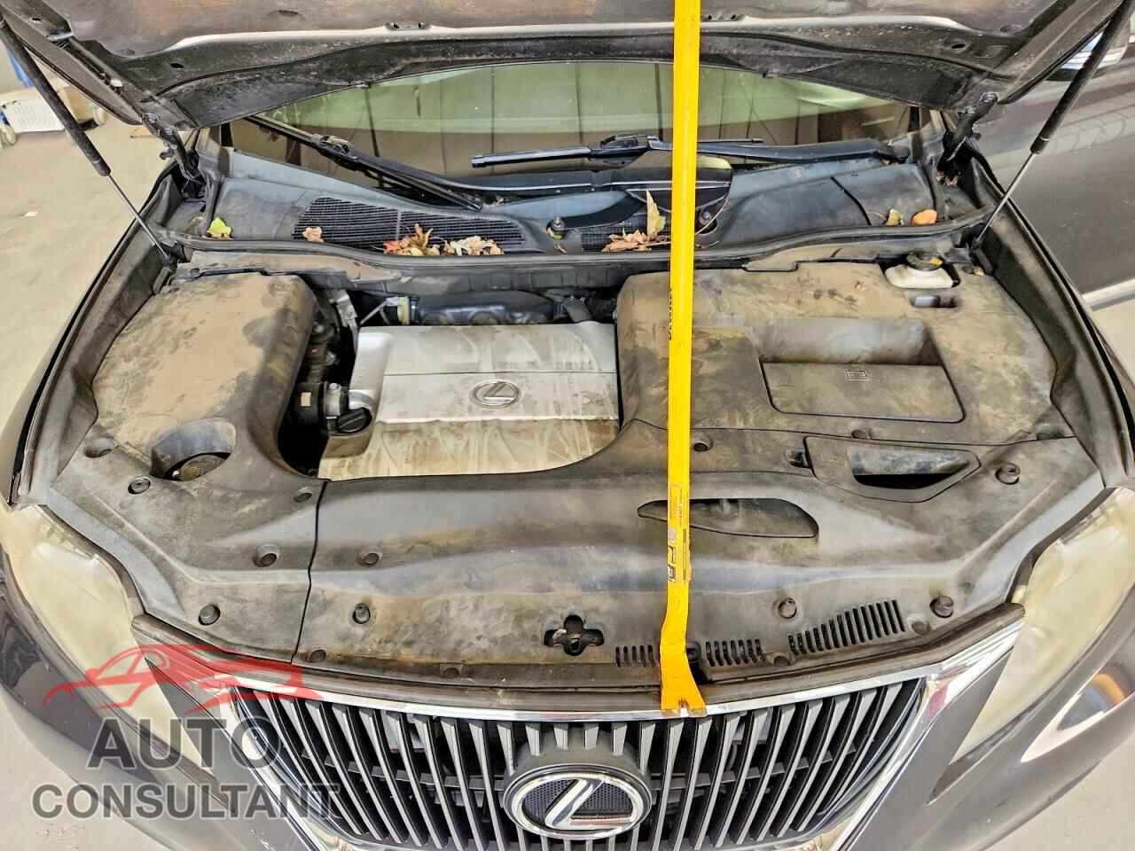 LEXUS RX350 2010 - 2T2BK1BA8AC005559
