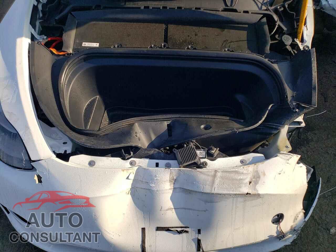 TESLA MODEL Y 2023 - 7SAYGDED6PF940819