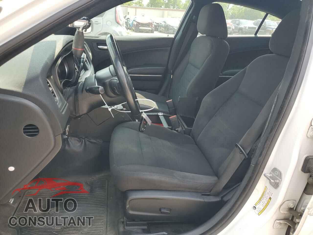 DODGE CHARGER 2019 - 2C3CDXKT2KH537800